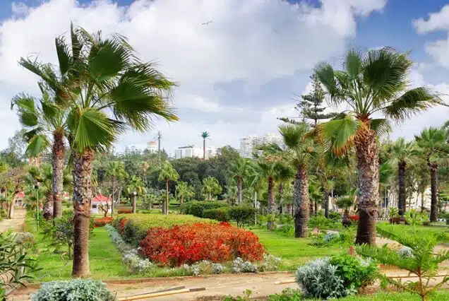 egypt alexandria montazah gardens