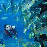 Snorkeling in Hurghada: Top 15 Spots + Scuba Diving Hurghada Guide